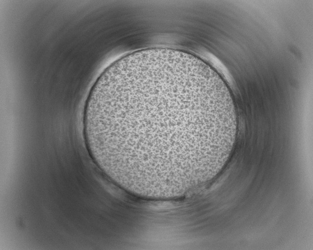 X0000116431435201001051137