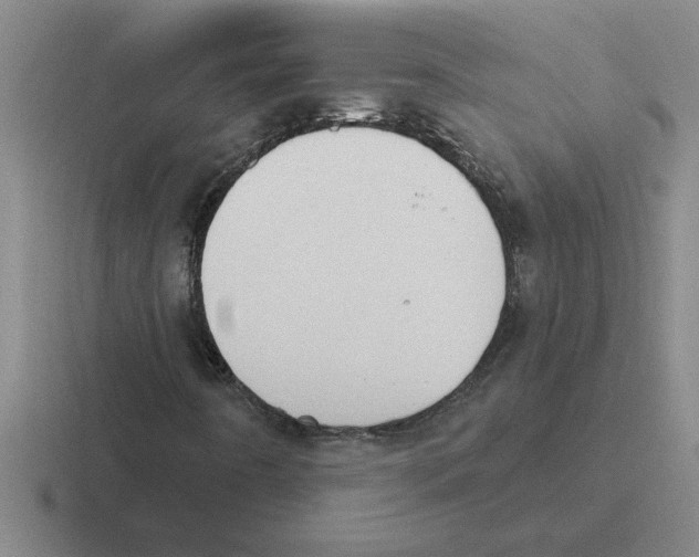 X0000116431442201001051136