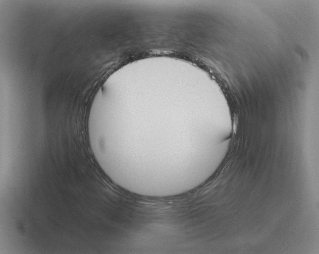 X0000116431444201001051136