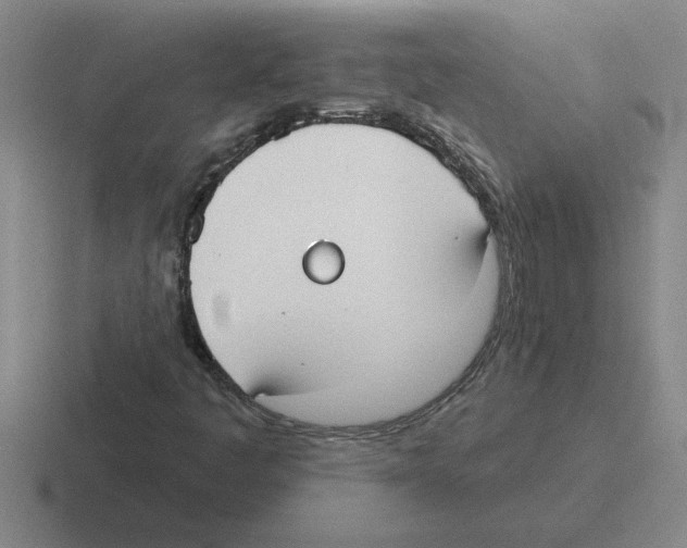 X0000116431445201001051136