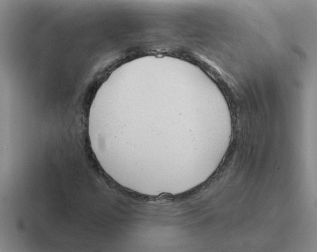 X0000116431447201001051136