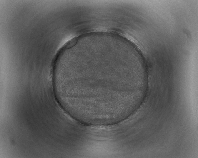 X0000116431450201001051136