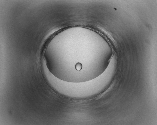 X0000116431453201001051136