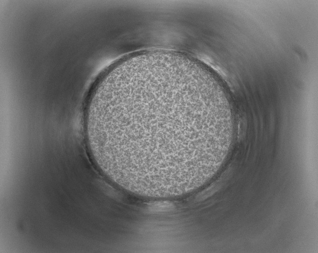 X0000116431454201001051136