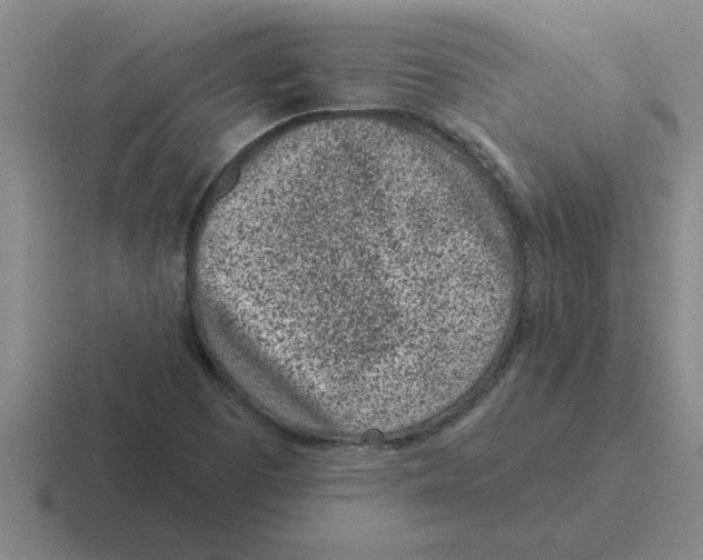 X0000116431457201001051136