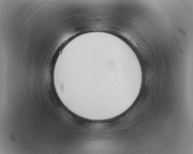 X0000116431458201001051136