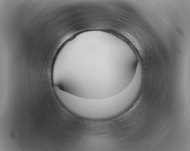 X0000116431465201001051136