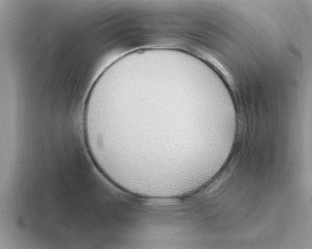 X0000116431487201001051136