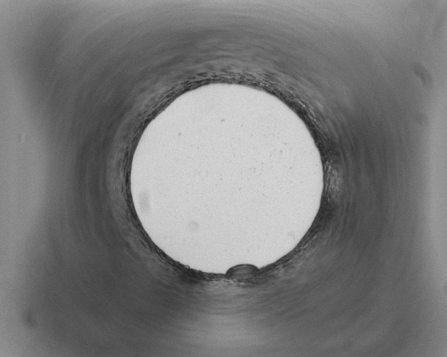 X0000116431489201001051135