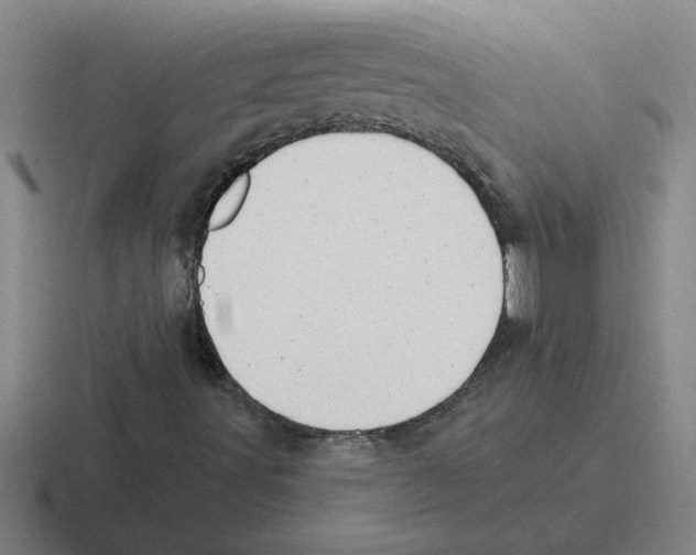 X0000116431491201001051135