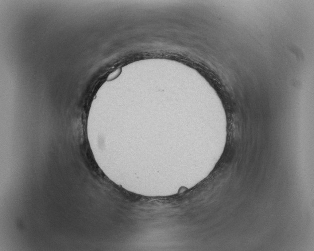 X0000116431493201001051135