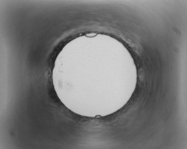 X0000116431495201001051135
