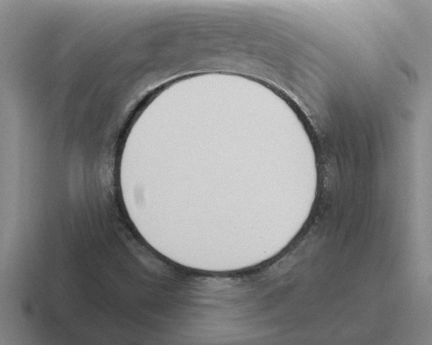 X0000116431499201001051135