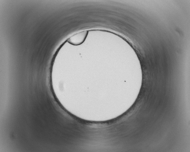 X0000116431518201001051135