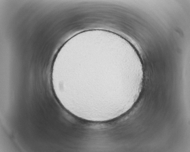 X0000116431525201001051135