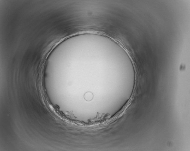 X0000116430001201001191520
