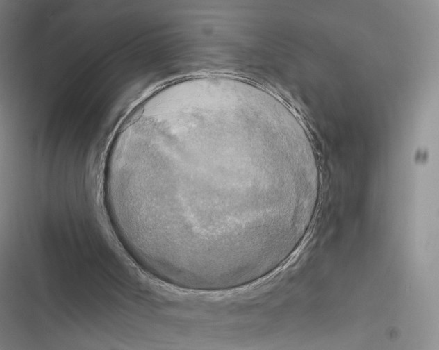 X0000116430002201001191520