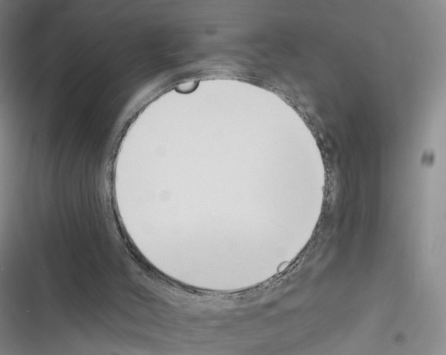 X0000116430004201001191520