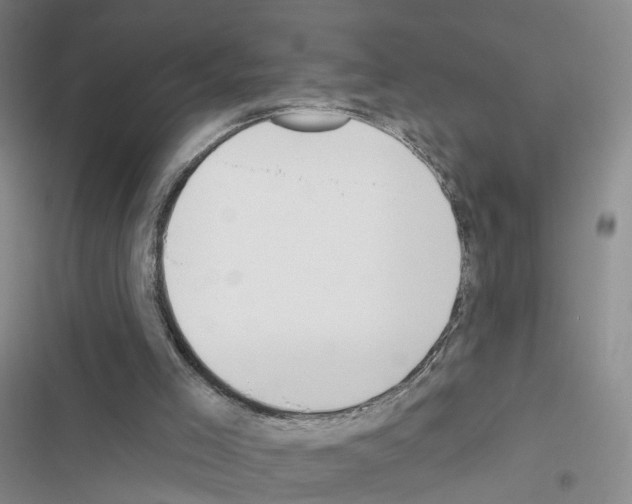 X0000116430005201001191520