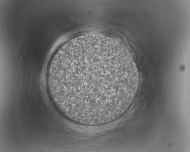 X0000116430006201001191520