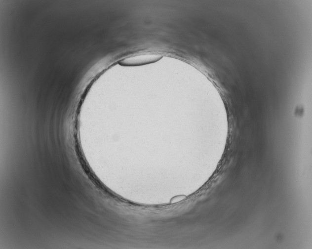 X0000116430007201001191520