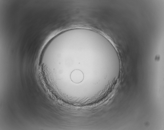X0000116430008201001191520