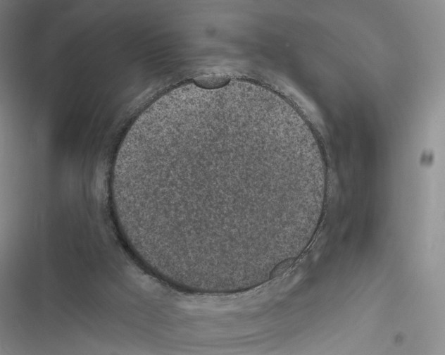 X0000116430009201001191520