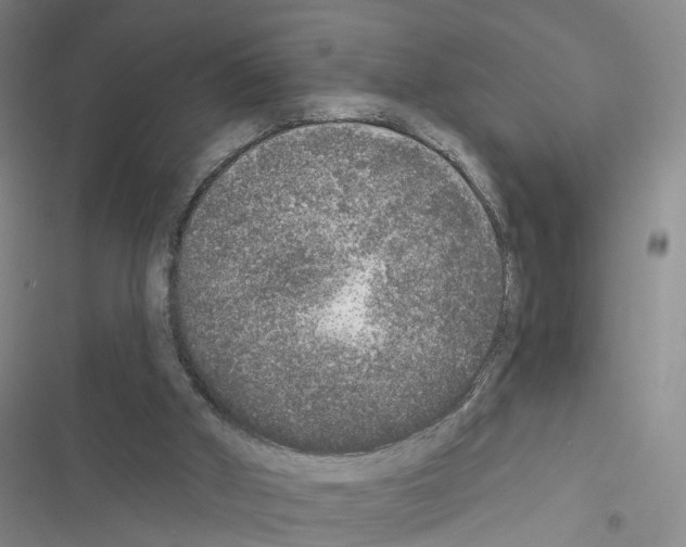 X0000116430010201001191520