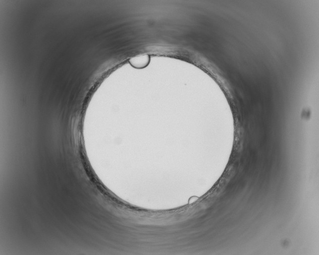 X0000116430011201001191520