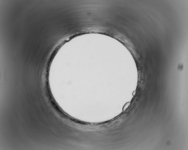 X0000116430012201001191520