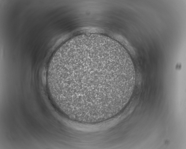 X0000116430014201001191520