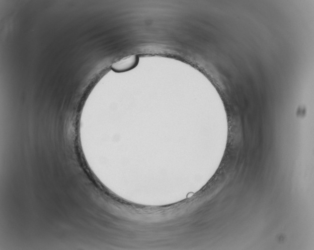 X0000116430015201001191520