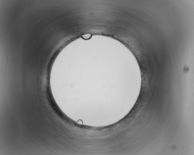 X0000116430016201001191520
