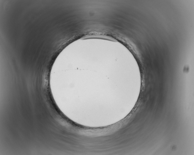 X0000116430017201001191520