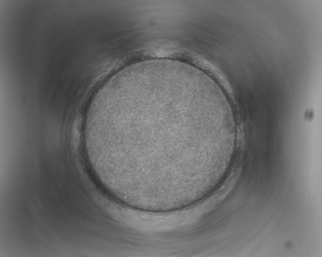 X0000116430018201001191520
