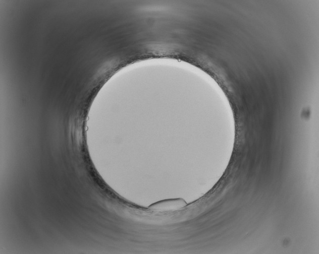 X0000116430019201001191520