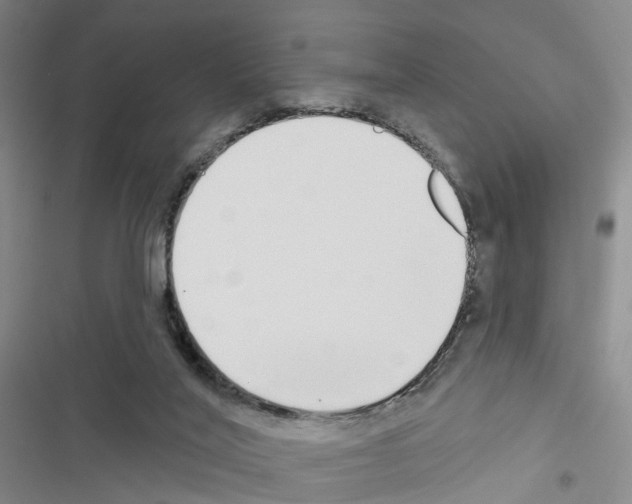 X0000116430020201001191520
