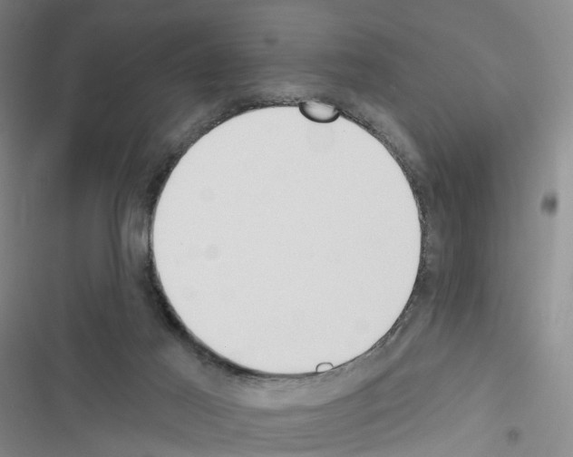 X0000116430021201001191520