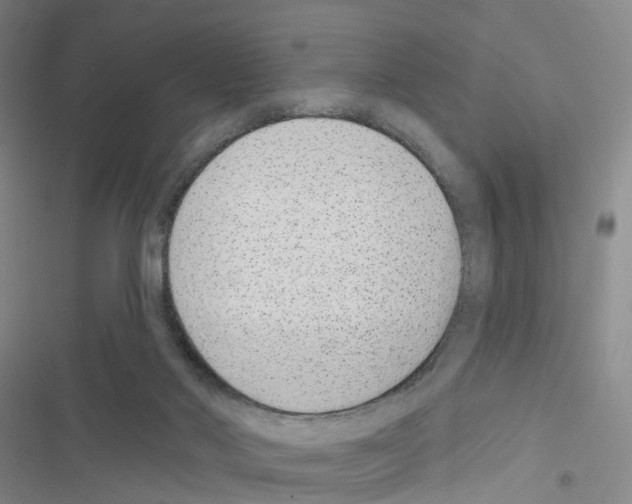 X0000116430022201001191520
