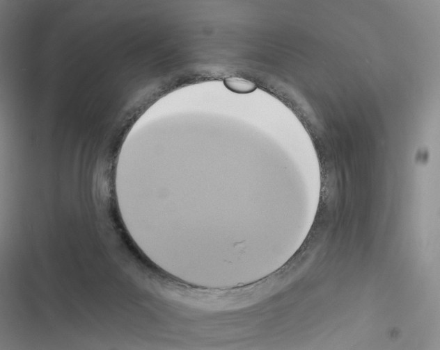 X0000116430023201001191520