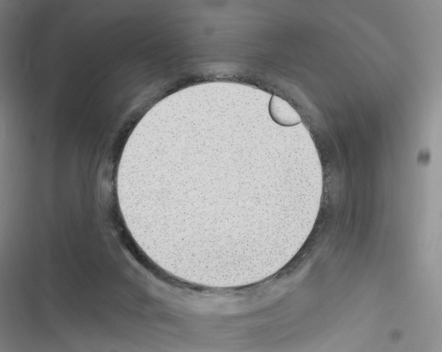 X0000116430024201001191520