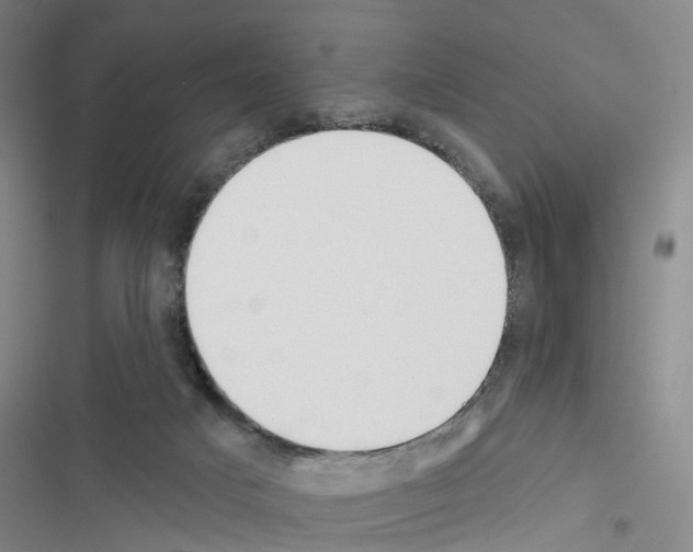 X0000116430025201001191520