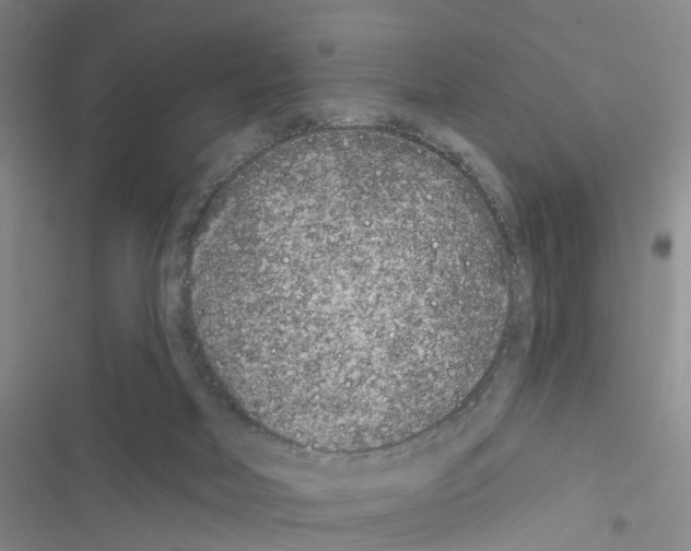 X0000116430026201001191520