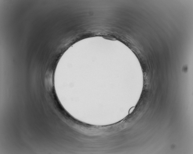 X0000116430028201001191520