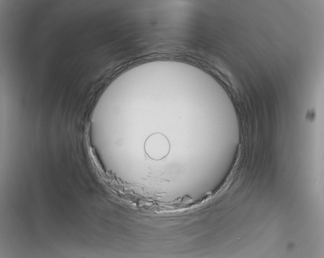 X0000116430029201001191520