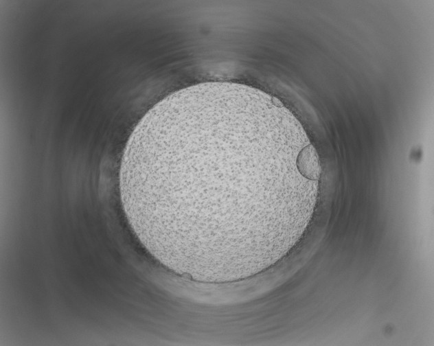 X0000116430030201001191520