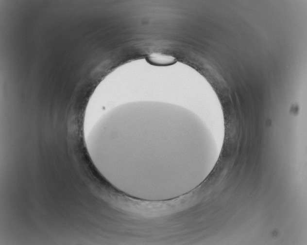 X0000116430031201001191520