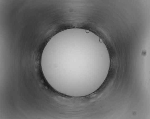 X0000116430032201001191520