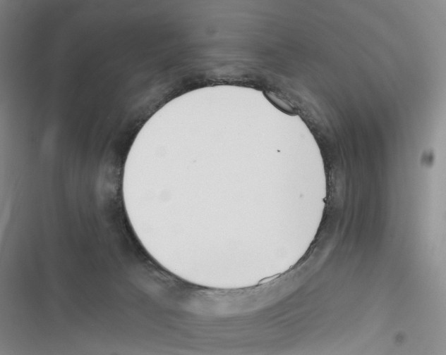 X0000116430033201001191520