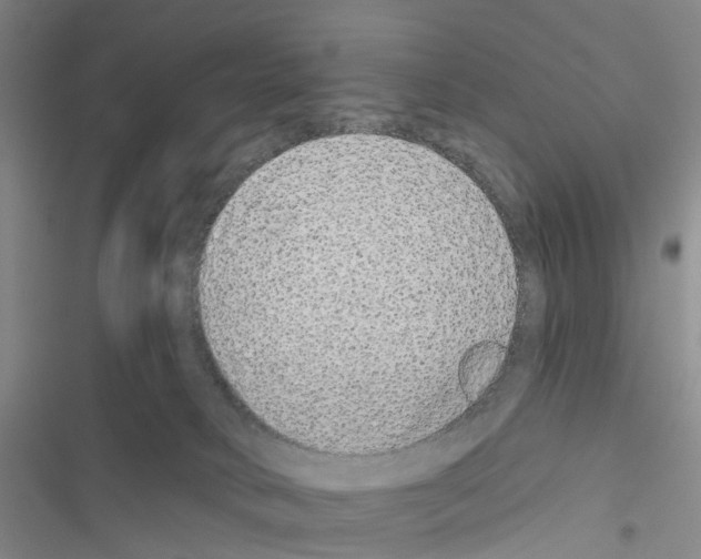 X0000116430034201001191520